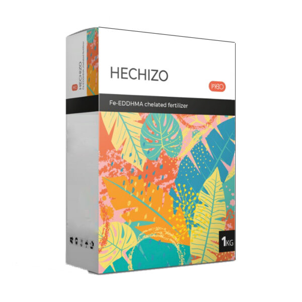 hechizo22